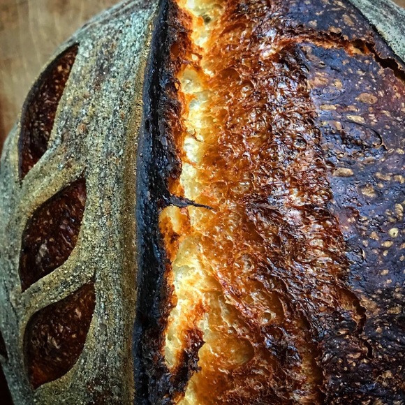 Meet your Posher, Sara - Picture 7 of 12